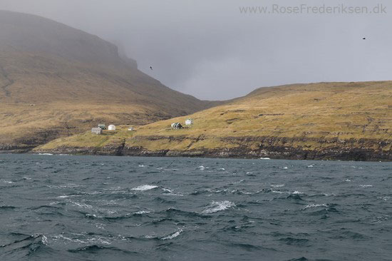 faeoerne artikel 240615 125