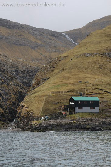 faeoerne artikel 240615 126