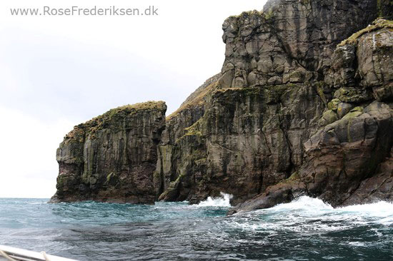 faeoerne artikel 240615 128