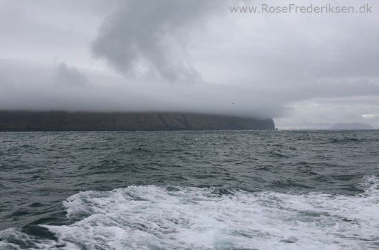 faeoerne artikel 240615 129