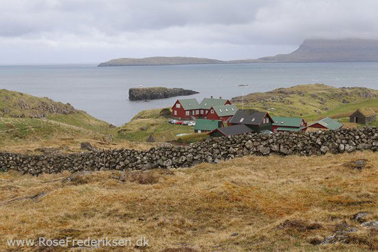faeoerne artikel 240615 130