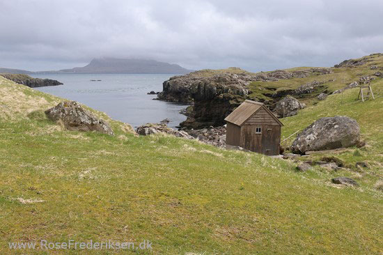 faeoerne artikel 240615 131