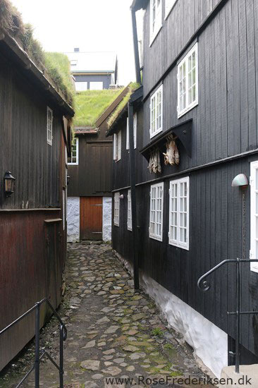 faeoerne artikel 240615 136