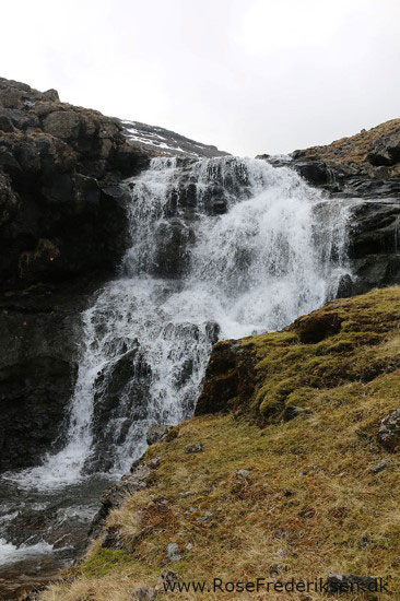 faeoerne artikel 240615 30