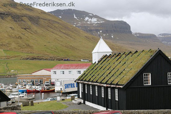 faeoerne artikel 240615 35