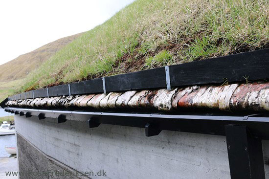 faeoerne artikel 240615 37