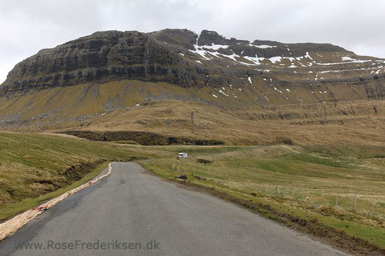 faeoerne artikel 240615 41