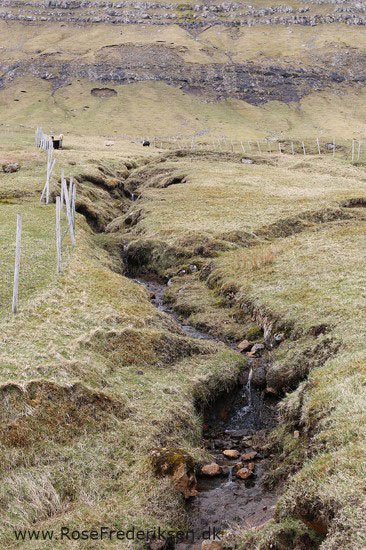 faeoerne artikel 240615 43