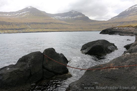 faeoerne artikel 240615 45