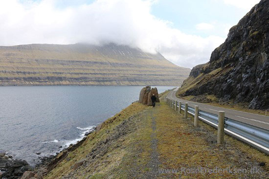 faeoerne artikel 240615 48