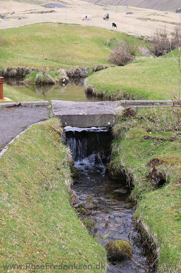 faeoerne artikel 240615 52