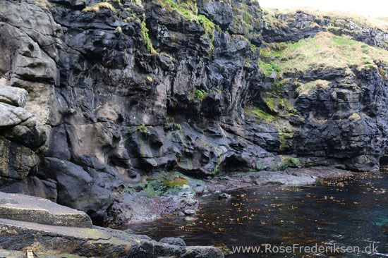 faeoerne artikel 240615 55