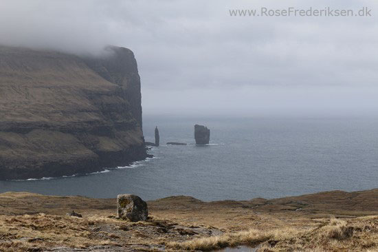 faeoerne artikel 240615 61