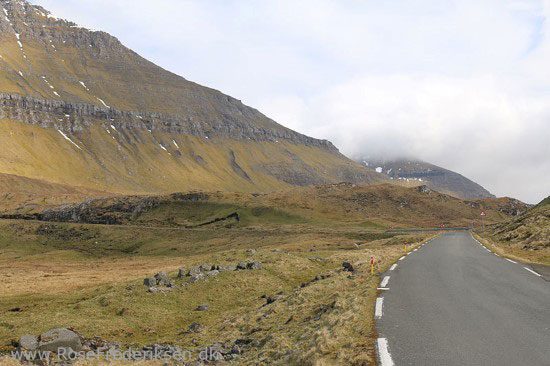 faeoerne artikel 240615 62