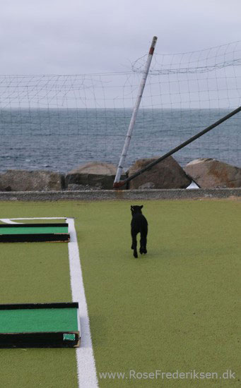 faeoerne artikel 240615 67