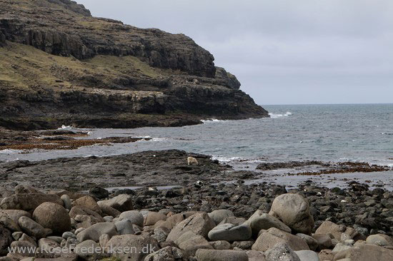 faeoerne artikel 240615 69