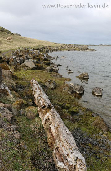 faeoerne artikel 240615 70