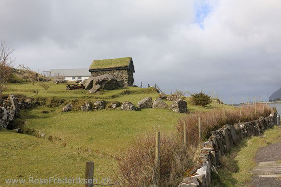 faeoerne artikel 240615 75