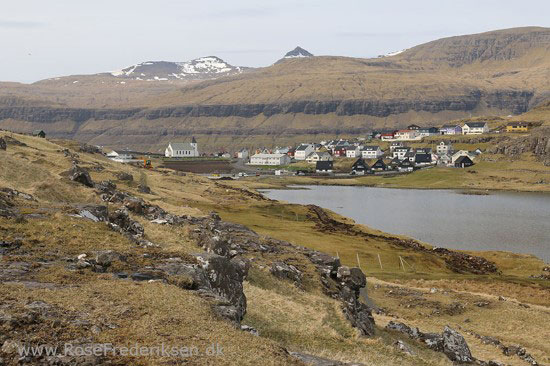 faeoerne artikel 240615 80