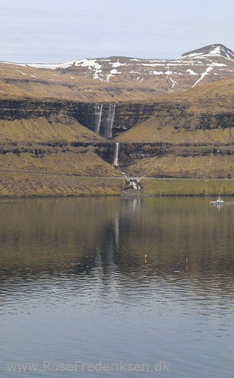 faeoerne artikel 240615 81