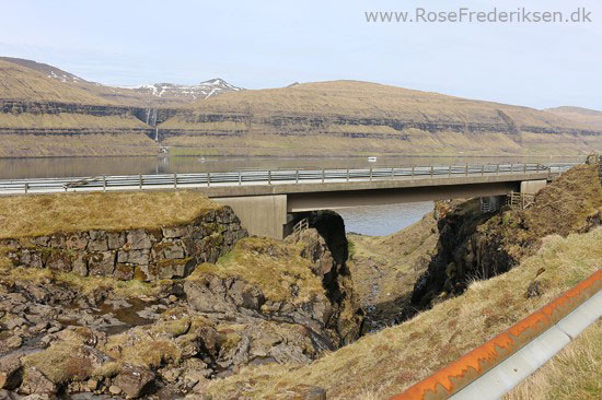 faeoerne artikel 240615 82