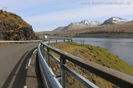 faeoerne artikel 240615 84