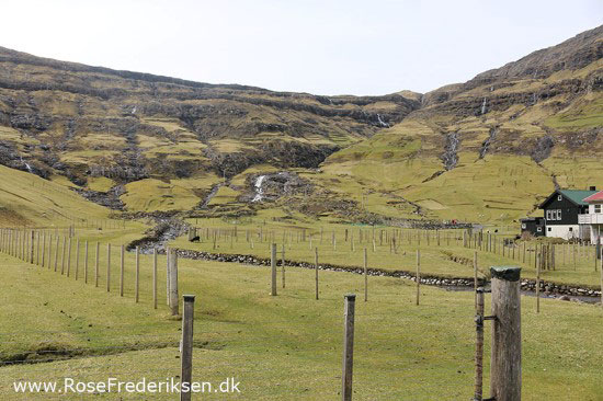 faeoerne artikel 240615 89