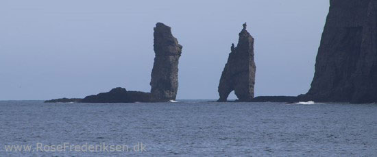 faeoerne artikel 240615 91