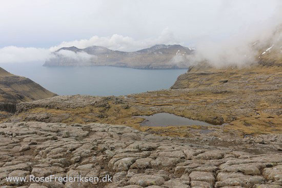 faeoerne artikel 240615 94