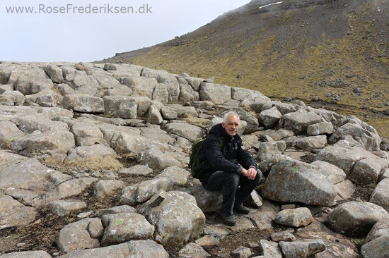 faeoerne artikel 240615 95