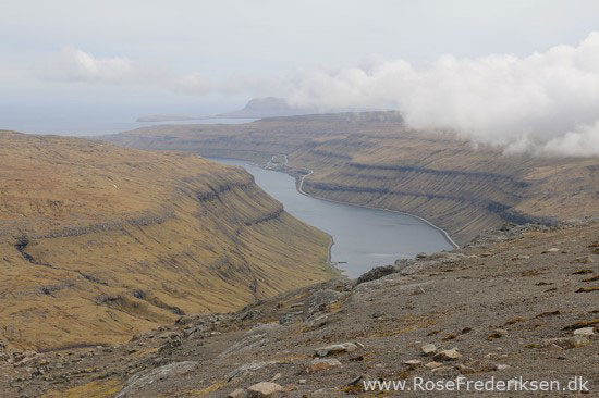 faeoerne artikel 240615 96