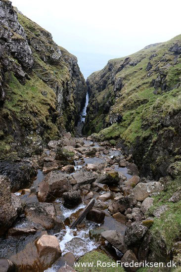 faeoerne artikel 240615 98