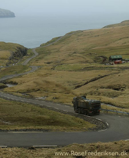 faeoerne artikel 240615 99