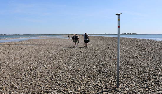 bel rosefrederiksen artikel 090915 30