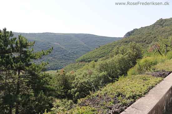Spanien2015 2 rosef 140915 53