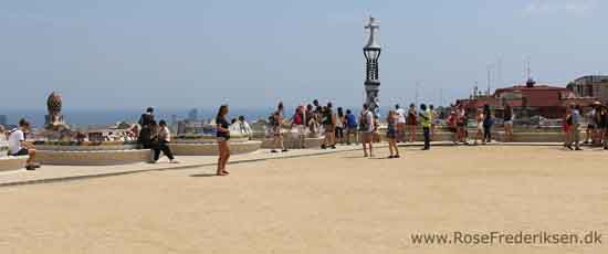 Spanien2015 4 rosef 170915 88