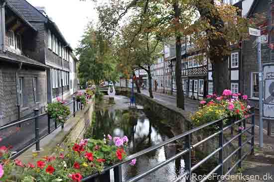 Harzen2 rosefrederiksen 181115 24