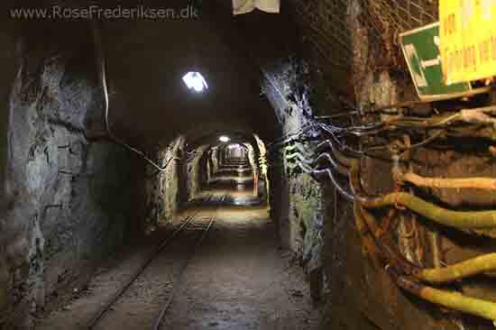 Harzen2 rosefrederiksen 181115 44