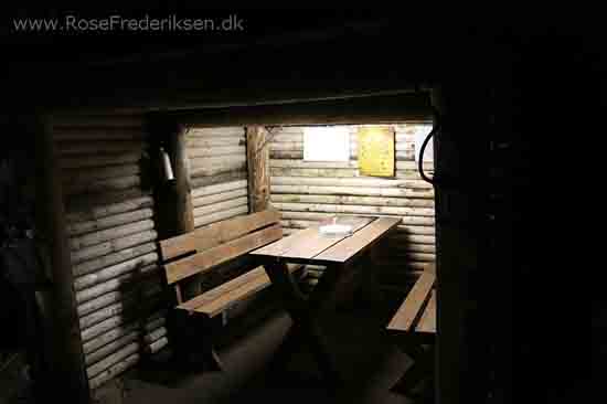 Harzen2 rosefrederiksen 181115 46