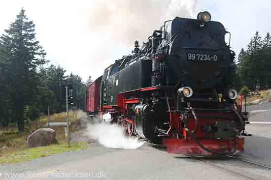 Harzen3 rosefrederiksen 201115 16