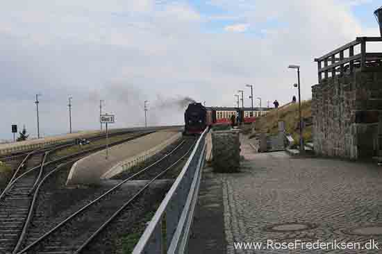 Harzen3 rosefrederiksen 201115 18