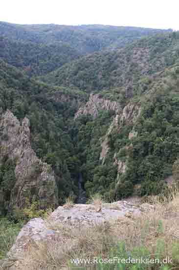 Harzen3 rosefrederiksen 201115 33