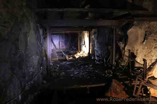 Harzen3 rosefrederiksen 201115 65