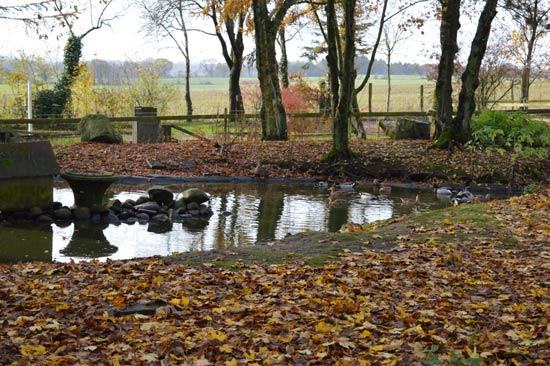 Velling koller artikel 210116 11