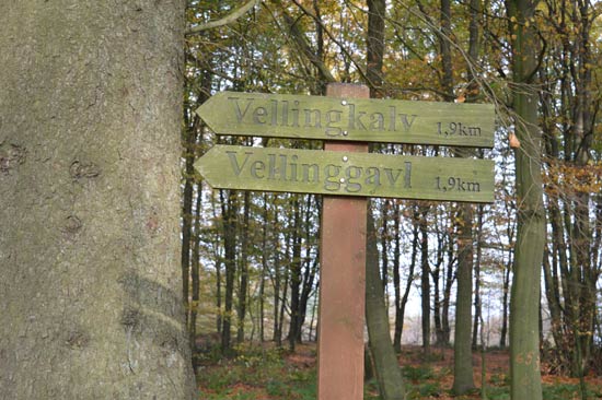 Velling koller artikel 210116 20