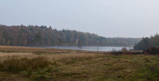 Velling koller artikel 210116 24