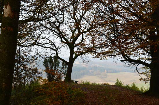 Velling koller artikel 210116 27