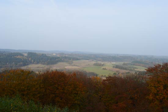 Velling koller artikel 210116 28