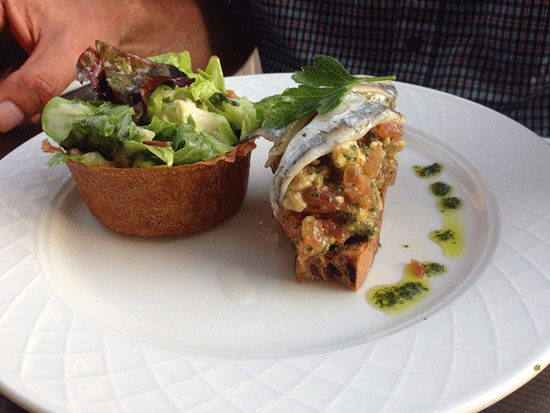 Catarina2 artikel 160616 06