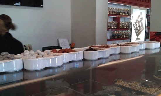 Catarina2 artikel 160616 12